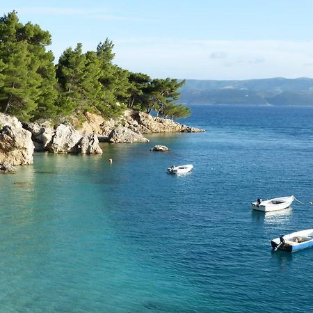 Beach State Of Art, Balica Rat Stanici Luaran gambar