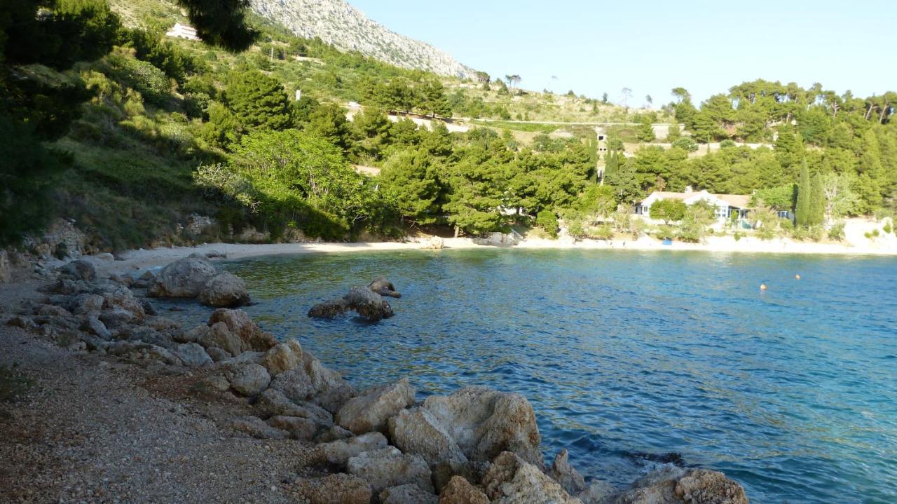 Beach State Of Art, Balica Rat Stanici Luaran gambar